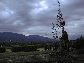 pic00001