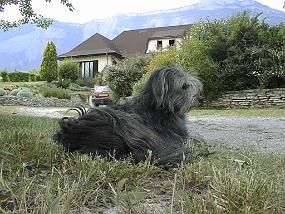 pic00012