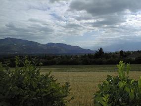pic00015