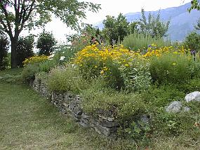 pic00016