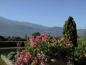 pic00011