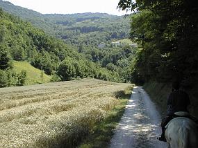pic00002
