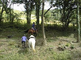 pic00006