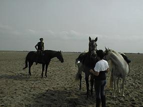 PIC00010