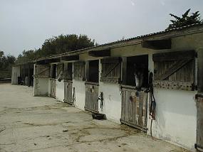 PIC00011