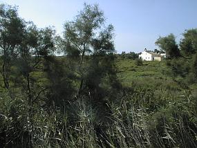 PIC00017