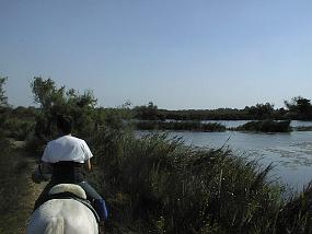 PIC00018
