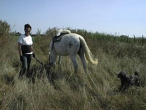 PIC00021