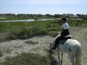 PIC00024