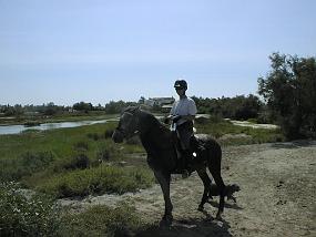 PIC00025