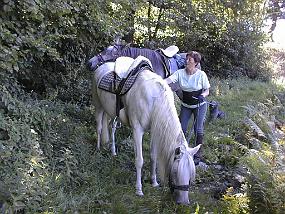 PIC00045