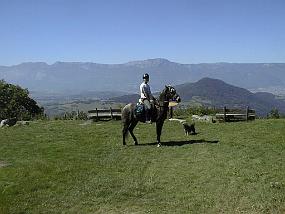 PIC00048
