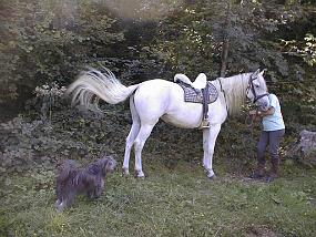 PIC00054