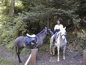 PIC00058
