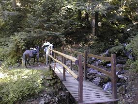 PIC00059