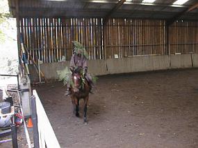 pic00022