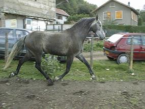 pic00018