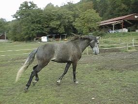pic00019