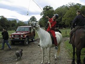 pic00021