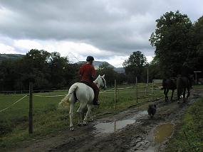 pic00023