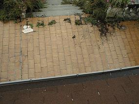 pic00057