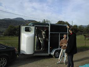 pic00081