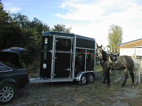 pic00083