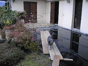 pic00085