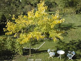 pic00024