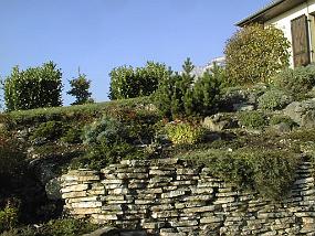 pic00005