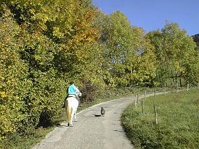 pic00024