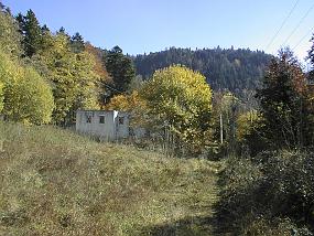 pic00026