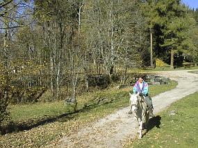 pic00038