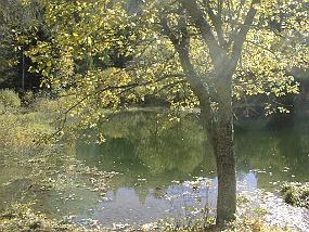 pic00039