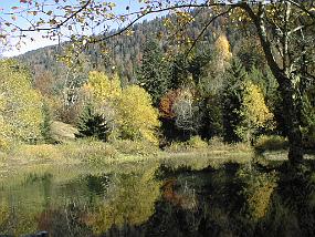 pic00040