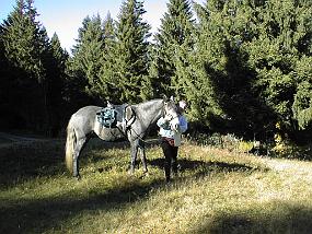 pic00009