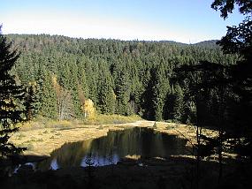 pic00014