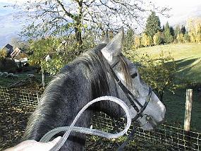 pic00023