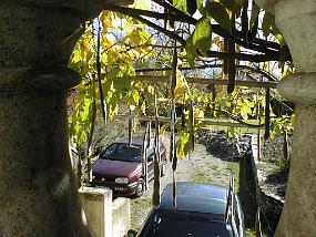 pic00009