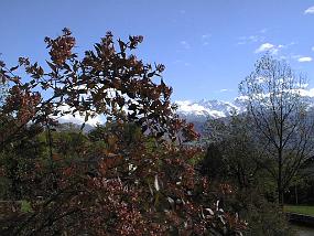 pic00028