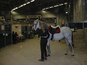 pic00024