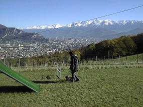 pic00006