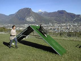 pic00012