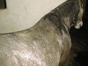 pic00025