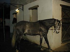 pic00029