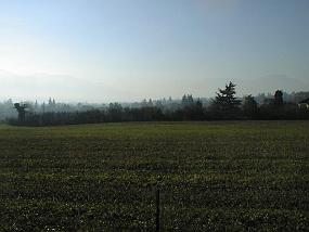 pic00015