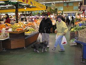 pic00017