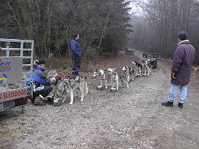 pic00015