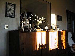 pic00010