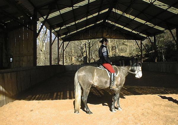 Gitano au manege (Sunday, 05. March 2000) Marie me donne un cours au manege de Bernard. Elle le monte aussi. Pas si sur qu'elle arrive mieux.